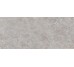 G2704 FIORI DI BOSCO POLISHED 03 120x270 (настенная плитка)