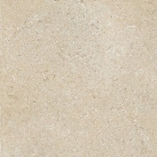 (60x60) EGWSS10 Precious Beige Nat/Rtt - Secret Stone з колекції Secret Stone Secret Stone