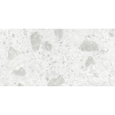 60x120 AMSTERDAM WHITE POLISHED RECT. Amsterdam из коллекции Amsterdam Amsterdam Керамическая плитка Itt Ceramic