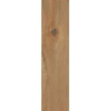 Leccio Oliato - 30x120 1086635 I Lecci з колекції I Lecci
