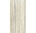 Плитка Invictus Beige Kry - 60x120 CSAINVBK12 Invictus из коллекции Invictus Santagostino