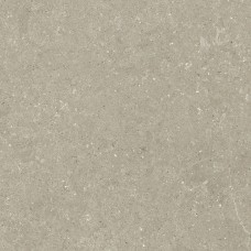 HWD 11 Greige Rett - 80x80 GTWD11R Wild з колекції Wild HWD 11 Greige Rett - 80x80 GTWD11R Wild з колекції Wild