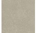 Плитка HWD 11 Greige Rett - 80x80 GTWD11R Wild з колекції Wild Del Conca