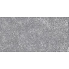 60x120 Grunge Grey As//C/R-Grunge-27402 з колекції Grunge