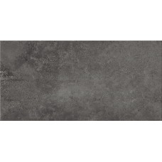 NORMANDIE GRAPHITE 29.8х59.8 (плитка для підлоги і стін)