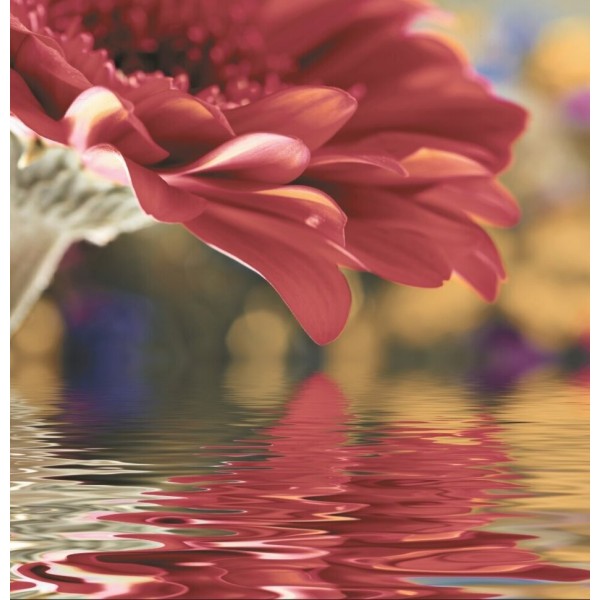 Декор Deco Flowers 6 Brillo 75Х73 з колекції Бразилия Ceracasa Ceramica