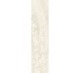 Плитка Invictus Ivory Kry - 7.3x29.6 CSAINIK730 Invictus из коллекции Invictus Santagostino