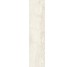 Плитка Invictus Ivory Kry - 7.3x29.6 CSAINIK730 Invictus из коллекции Invictus Santagostino