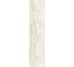 Плитка Invictus Ivory Kry - 7.3x29.6 CSAINIK730 Invictus из коллекции Invictus Santagostino