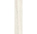 Плитка Invictus Ivory Kry - 7.3x29.6 CSAINIK730 Invictus из коллекции Invictus Santagostino