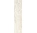 Плитка Invictus Ivory Kry - 7.3x29.6 CSAINIK730 Invictus из коллекции Invictus Santagostino