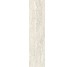Плитка Invictus Ivory Kry - 7.3x29.6 CSAINIK730 Invictus из коллекции Invictus Santagostino