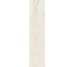 Плитка Invictus Ivory Kry - 7.3x29.6 CSAINIK730 Invictus из коллекции Invictus Santagostino