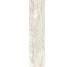 Плитка Invictus Ivory Kry - 7.3x29.6 CSAINIK730 Invictus из коллекции Invictus Santagostino