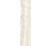 Плитка Invictus Ivory Kry - 7.3x29.6 CSAINIK730 Invictus из коллекции Invictus Santagostino