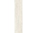 Плитка Invictus Ivory Kry - 7.3x29.6 CSAINIK730 Invictus из коллекции Invictus Santagostino
