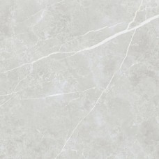 60X60 Elite Silver Matt из коллекции Elite 60X60 Elite Silver Matt из коллекции Elite