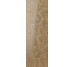 Декор (32.1x96.3) EDENL3R6 Doryfera Fandango Lucido Rtt. - Eden злекції Eden Ava