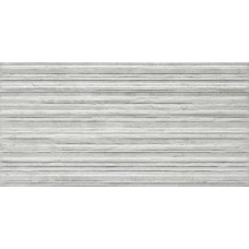 30x60 Canyon Gris из коллекции Tempo