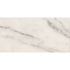 60x119,5 Mte. C. Silver Reflex - Motif Extra - E398 з колекції Motif Extra 60x119,5 Mte. C. Silver Reflex - Motif Extra - E398 з колекції Motif Extra Motif Extra Marca Corona