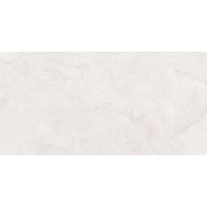 DOUBLE PLA WHITE NAT R - 60x120 PF60014153 Double з колекції Double Double