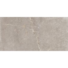 BLEUEMIX TAUPE 60x120 (плитка для підлоги і стін)