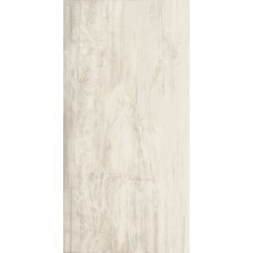 ректиф. полуп.(44.4х89) PETRIFIED TREE WHITE LION CORE 938D0P LAPP з колекції Petrified Tree Emilceramica ректиф. полуп.(44.4х89) PETRIFIED TREE WHITE LION CORE 938D0P LAPP з колекції Petrified Tree Emilceramica Petrified Tree Керамічна плитка Emil Ceramica — сторінка 2