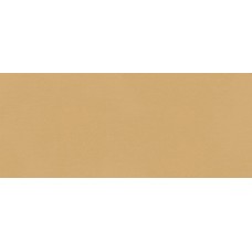 TRUE COLOR CARAMEL MATT RT 50х120 (настінна) fTDS TRUE COLOR CARAMEL MATT RT 50х120 (настінна) fTDS