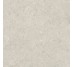 CORALSTONE BIANCO 100x100 RC (плитка для пола) 20 мм