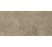 Плитка 60x119,5 Freedom Nut N/R - Freedom - 2186 з колекції Freedom Piemme