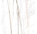 Плитка Am 2 Sahara Blanc Honed Ret - 119.2x119.2 99987 Archimarble 2 из коллекции Archimarble 2 Cerdisa