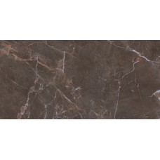 PROUD CHAMPAGNE NATURALE REKT STR MAT 119.8х59.8 (для підлоги і стін) PROUD CHAMPAGNE NATURALE REKT STR MAT 119.8х59.8 (для підлоги і стін)