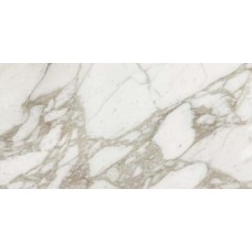 Calacatta Lucido 60x120 I Bianchi з колекції I Bianchi I Bianchi di Rex Керамічна плитка Rex