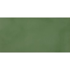 90x180 11490034 R-Evolution Green R-Evolution з колекції R-Evolution R-Evolution Керамічна плитка Casalgrande Padana