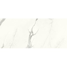 G2501 ARIA WHITE NATURE 120x270 (плитка настенная)