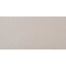 30x60 Alaska Gris Polished-Alaska з колекції Alaska ALASKA Керамічна плитка Todagres