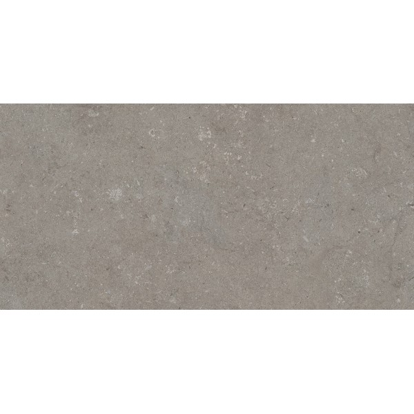 TOSCANA GREY 60x120 (плитка для підлоги і стін)