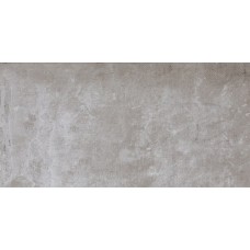 (30x60) LY35 AshR - Plant з колекції Plant (30x60) LY35 AshR - Plant з колекції Plant