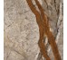 Плитка Silver Roots Pol - 59.2x59.2 311213Q641 Silver Roots з колекції Silver Roots Revigres