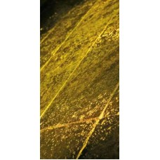 Декор (30.5x60) Venetian Lacca Decoro Verde-Fondo Travertino - Avant-Garde из коллекции Appia Antica Avant-Garde