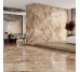 Грес INFINITY Темно-Бежевий Полірованний 022/L 60х60 InterGres