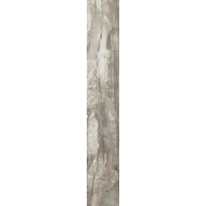 (16x99.5) PO1690RL Petrified Wood Musk Rett/Lapp - Petrified Wood з колекції Petrified Wood Ascot