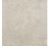 SGIV9S7193M STELLARR BEIGE (1 сорт)