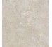 SGIV9S7193M STELLARR BEIGE (1 сорт)