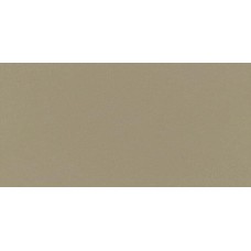 Beige Polished 29.7x59.6 Neo з колекції Neo Neo Керамічна плитка Urbatek