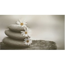 Декор (32.5х60) LUXE WHITE BANO 2 з колекції Luxe Luxe Керамічна плитка Fanal — сторінка 2