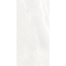 30x60 Whitebirett - Landstone - 53111 з колекції Landstone Landstone Керамічна плитка Cerdisa