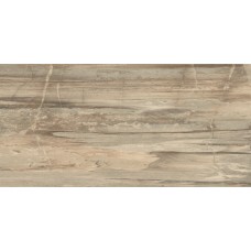 (30x60) 638D1R Core Beige Tiger Rett L - Petrified Tree з колекції Petrified Tree Emilceramica (30x60) 638D1R Core Beige Tiger Rett L - Petrified Tree з колекції Petrified Tree Emilceramica Petrified Tree Керамічна плитка Emil Ceramica — сторінка 2