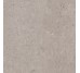 Плитка 120x120 Bl Grey - Biophilic - P009411 з колекції Biophilic Pastorelli