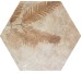 Плитка 32x36,8 Amazonia Tropic Cotto из коллекции Amazonia Zyx ZYX